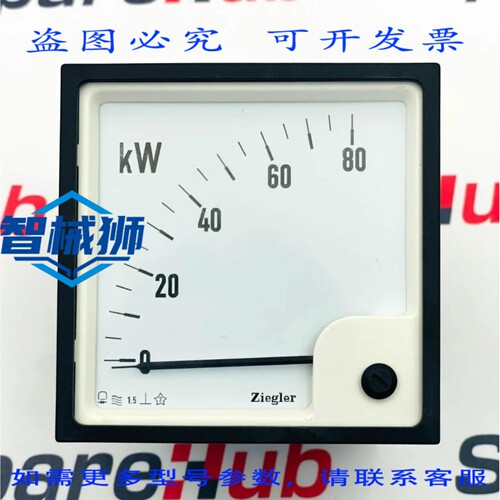现货供应 ZIEGLER WQ96V3W 电流表