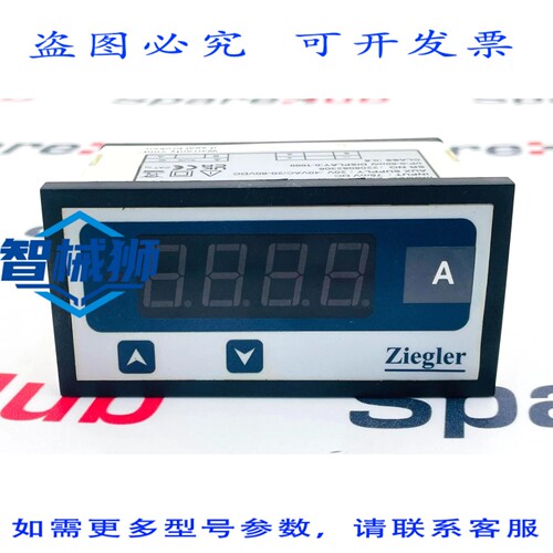 现货供应 ZIEGLER EINE+数字面板仪表 EI99DPM