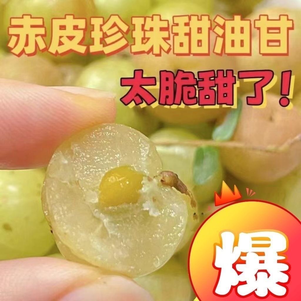 潮汕特产油甘果口感甘油柑果新鲜现摘现发广东特色水果