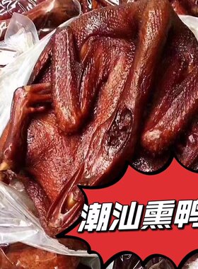 潮汕峡山正宗熏鸭脯甘蔗烟熏舌尖上广东特色美食真空发货