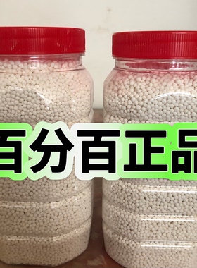 潮汕特产东京丸东京薯农家正宗纯手工制作东芛薯粉丸