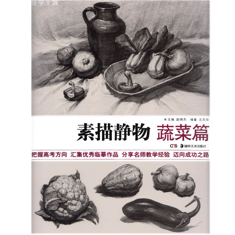 美术素描绘画技法教程参考书籍 教学主题 素描静物 蔬菜篇