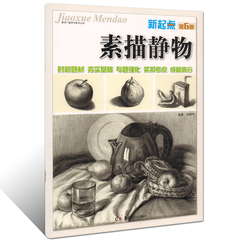 正版 新起点第6册 素描静物 教学门道系列美术丛书 肖器宇 编著 湖南美术出版社