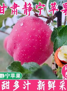 静宁苹果新鲜水果当季脆甜多汁苹果新鲜水果苹果
