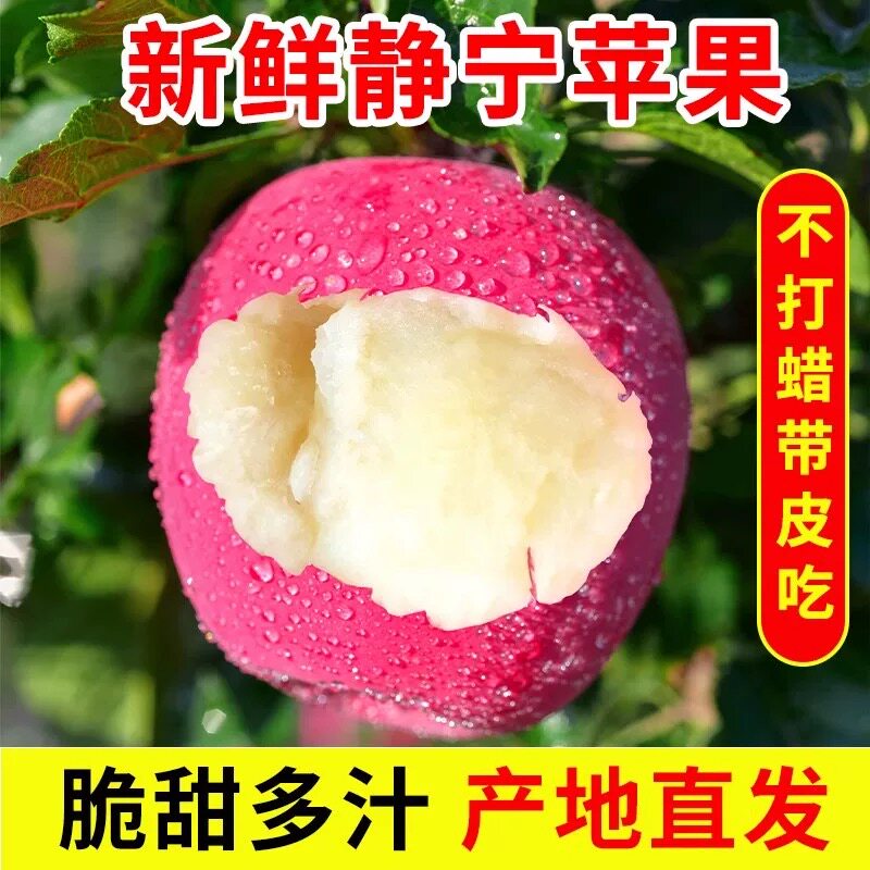 正宗静宁红富士苹果新鲜水果当季现摘脆甜多汁苹果孕妇可吃