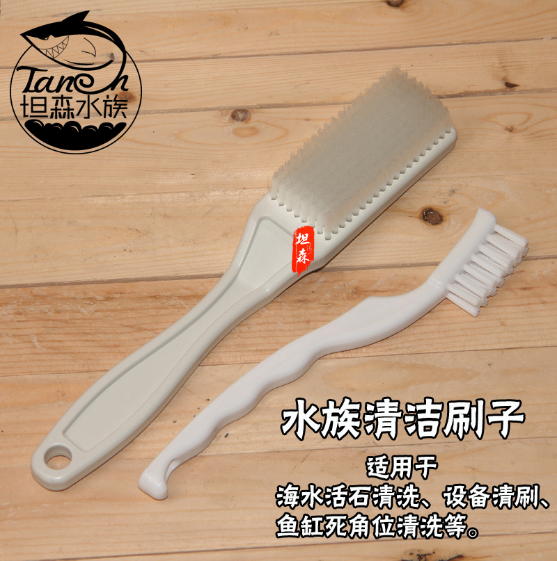 坦森水族活石多角度器材洁净鱼缸