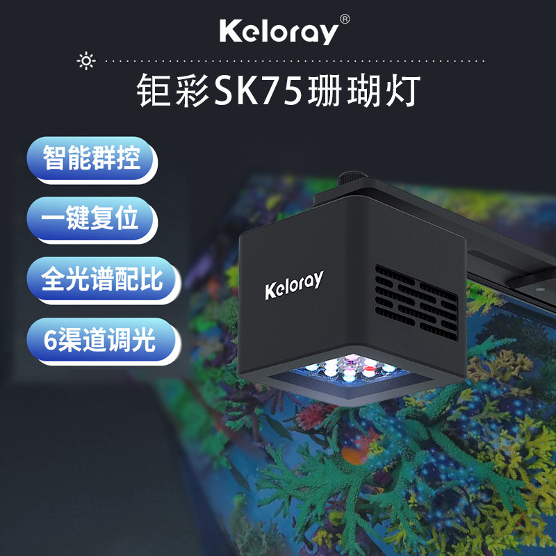 钜彩SK75新款海水珊瑚灯