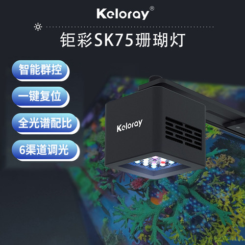 钜彩SK75新款海水珊瑚灯