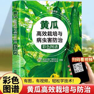 黄瓜高效栽培与病虫害防治彩色图谱 农业种植技术大全农药知识大全农作物农用链霉素现代大棚蔬菜作物育种学种植业书籍