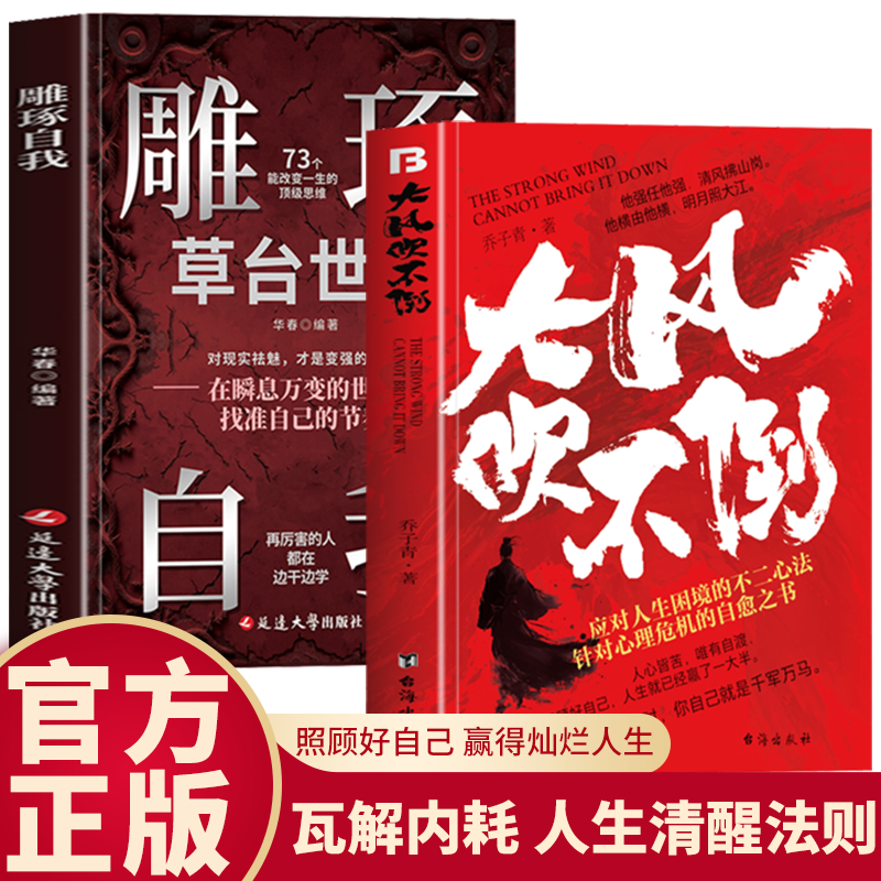 抖音同款】大风吹不倒正版雕琢自我应对人生困境的不二心法在瞬息万变的世间找准自己的节奏一本针对人生困境的自愈奇书大风吹不到