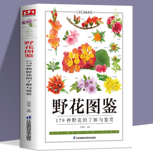 野花图鉴常见花卉园林植物