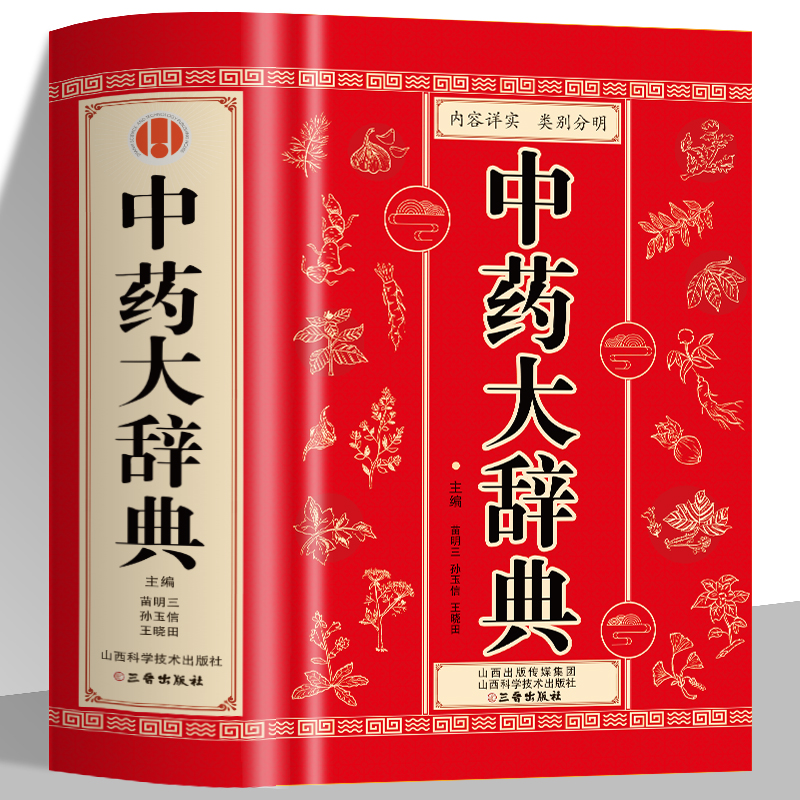 正版 中药大辞典 精装版全套 原版 中药学书籍词典 辞典中药书中药材中药字典中医药大词典药学医学工具书药膳大辞典剂量倪海厦