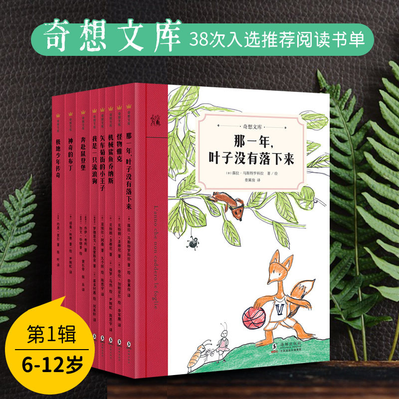 奇想文库平装第一/二辑全8册那一年叶子没有落下来怪物雅克奇想国童书世界经典儿童文学故事书小学生课外阅读书籍6-8-10-12岁书单属于什么档次？