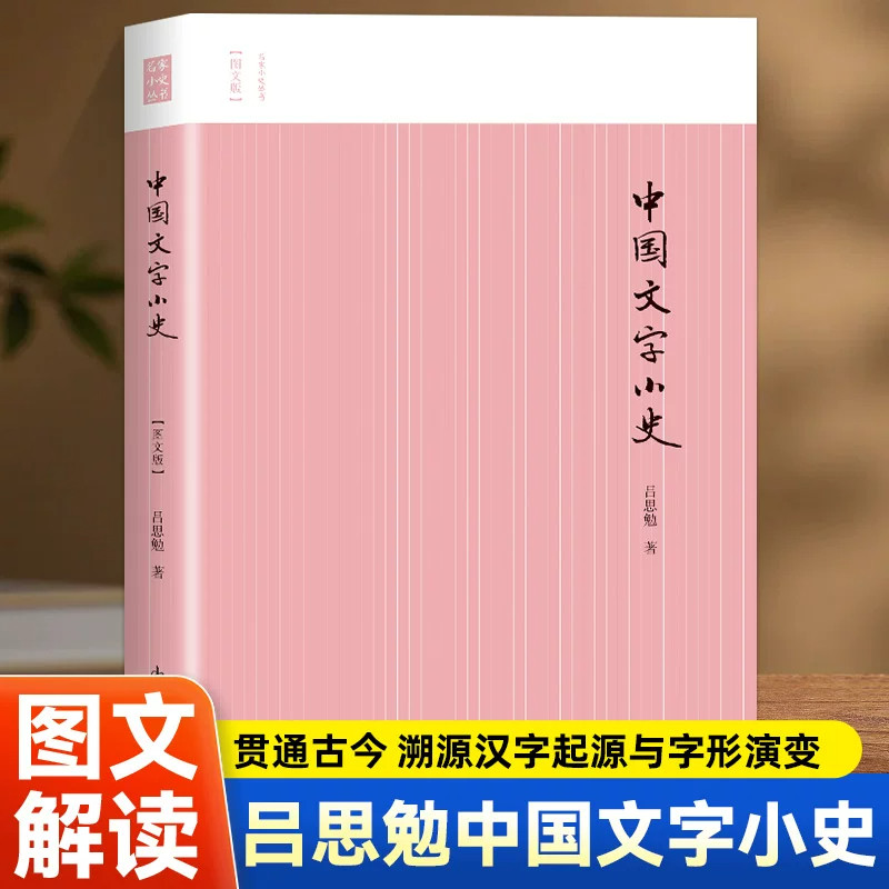 中国文字小史 讲解汉字变迁规律与字例 梳理文字从古到今演变脉络 字学通识读本 汉语言文学参考书籍