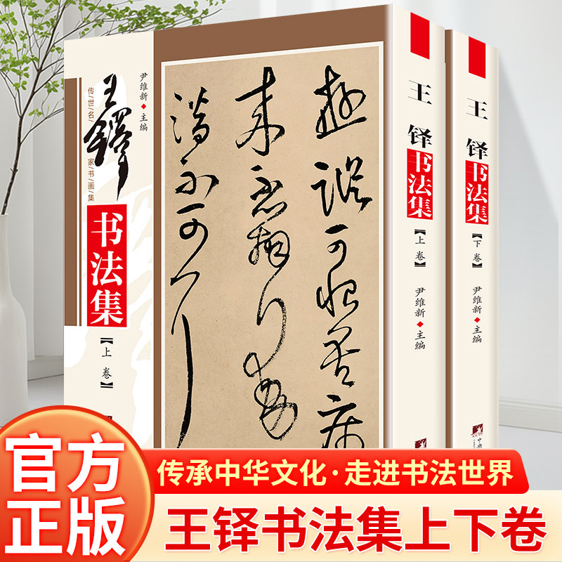 王铎书法集铜版彩印上下2卷 王铎书法作品集行书帖草书毛笔墨迹碑帖临摹字帖善本书法大全中国书画名家全集书法作品集 尹维新编