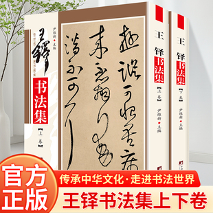 王铎书法集铜版彩印上下2卷 王铎书法作品集行书帖草书毛笔墨迹碑帖临摹字帖善本书法大全中国书画名家全集书法作品集 尹维新编