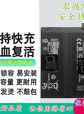 适用Realme真我GT NEO6SE/GT NEO6电池BLPA51/BLPA45/991手机电板