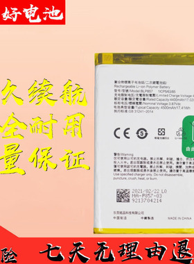 适用realme真我GT Neo电池 Q3PRO/狂欢版手机RMX3031 blp857电板