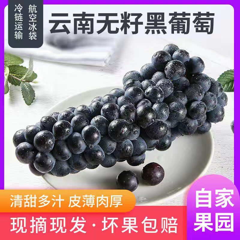 云南夏黑葡萄巨峰无籽黑提提子应季孕妇营养水果新鲜现摘现发整箱