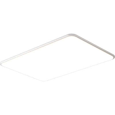 箭牌简约客厅吸顶灯卧室灯具套餐