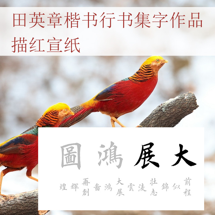 大展鸿图三尺四尺描红描摹宣纸田英章楷书行书集字可定制落款