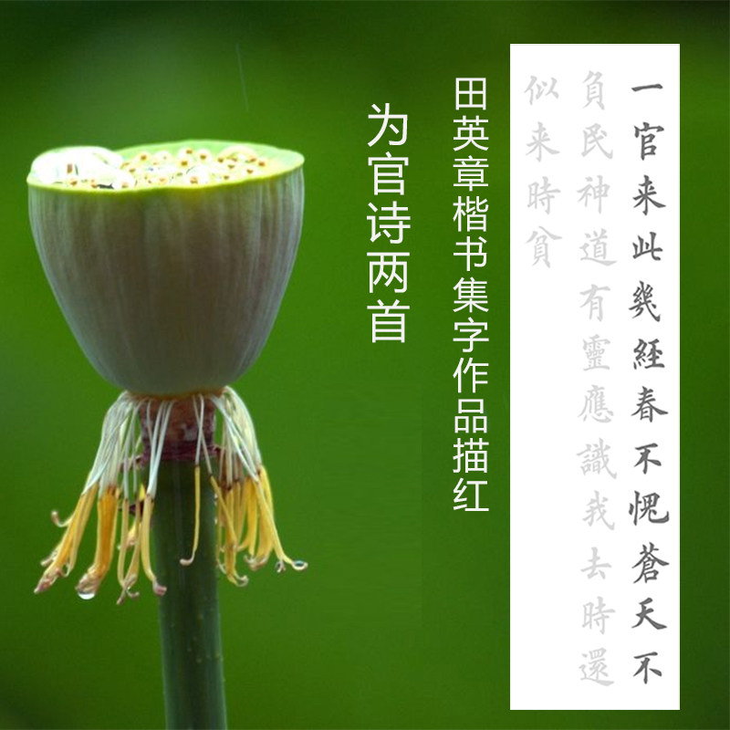 为官诗廉洁诗句四对尺开竖幅描红描摹宣纸有林书法机制半生熟宣