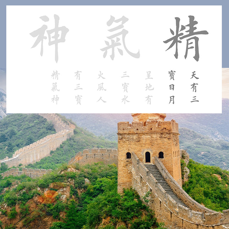 精气神 三尺四尺描红描摹宣纸 田英章楷书行书集字作品软笔作品