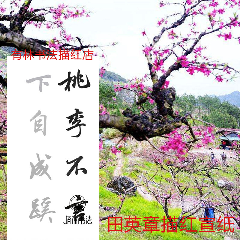 教师节尊师书法贺礼 桃李不言下自成蹊 横幅竖幅三尺描红描摹宣纸