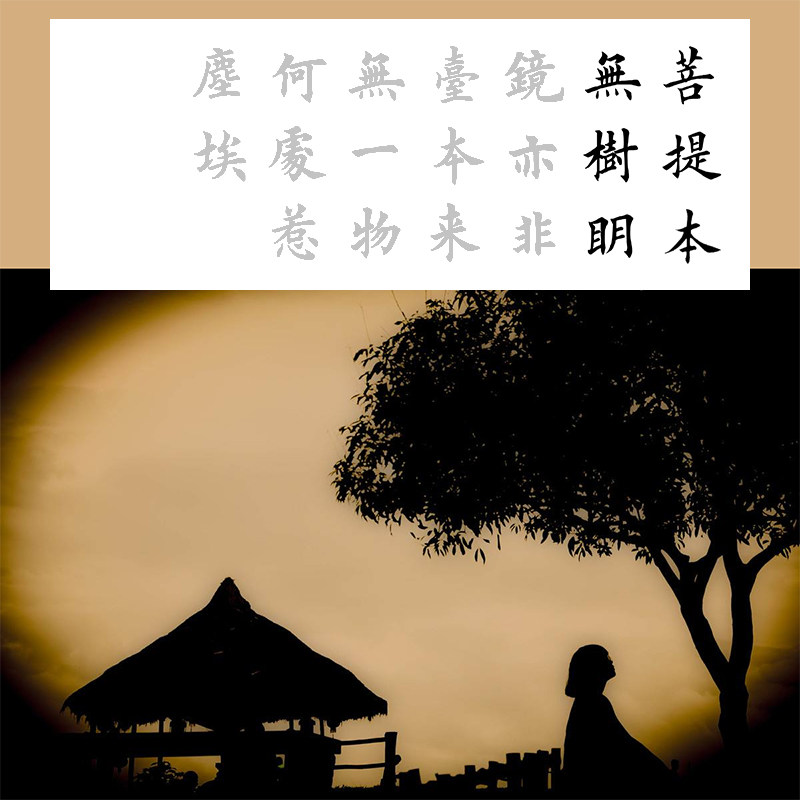 六祖慧能偈语菩提本无树明镜亦非台田英章毛笔软笔描红描摹宣纸