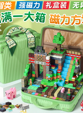 我的世界磁力方块全套正版积木玩具磁铁儿童男孩益智圣诞生日礼物