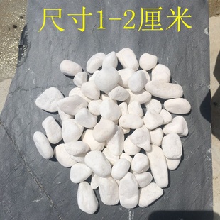 黑色砾石白色鹅卵石庭院花园露营造景水洗石园林日式枯山水洗米石