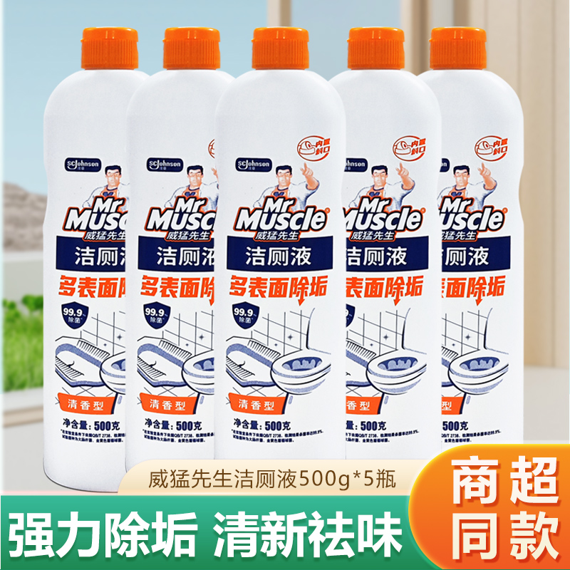 500g洗厕所强力去垢马桶清洁剂