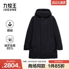[商场同款]九牧王男装2025冬季新款舒适新时尚系列商务男款羽绒服