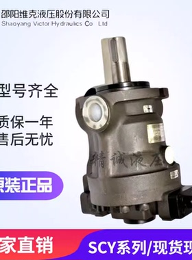 SY-100SCY14-1E/EL/ELF/ELH 邵阳维克轴向柱塞泵 100SCY14-1B/1BF