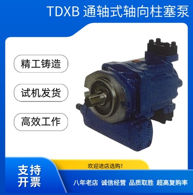 济南镇海通轴式轴向柱塞泵TDXB40/50/63/80/100N/NH/NP液压变量泵