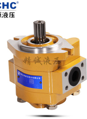 合肥长源液压齿轮油泵CBK-G429/430/432/423/444/427/436/-AFL/AF