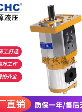 合肥长源液压双联齿轮油泵CBQT-F540/F416-AFP/AFHL/CFHL钻机泵