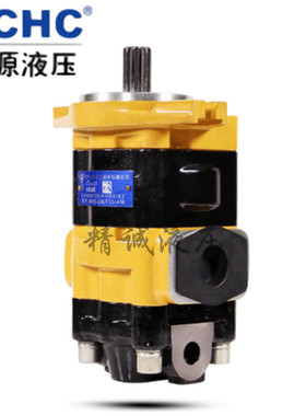 合肥长源液压双联齿轮油泵CBHYGA-G25/D2.0-AT,G36/F4.5-AT