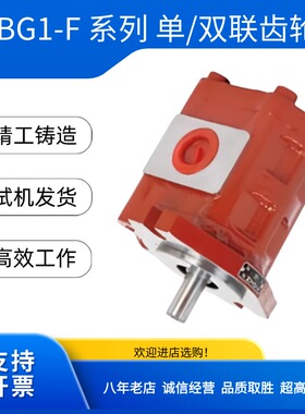 济南镇海机械厂高压齿轮单泵双联泵CBG1-F016/20/25/32/40/45油泵