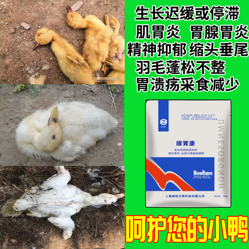 森牧腺胃康腺胃炎鸡肌胃炎小鸡开口消瘦拉稀鸡痘浆膜炎呼噜咳嗽