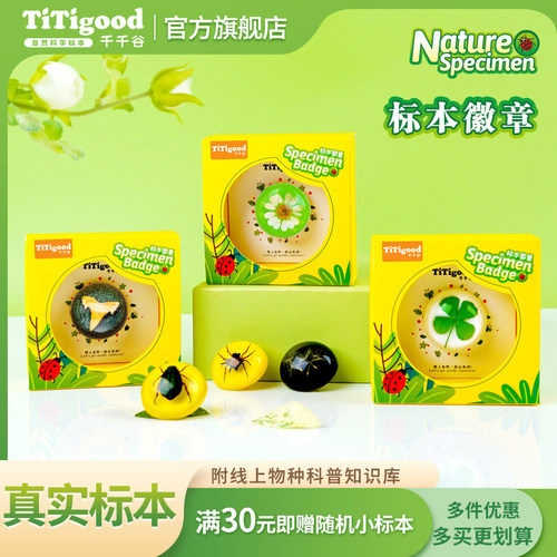 昆虫标本千千谷真实动植物