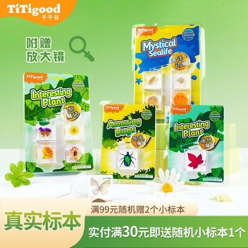 千千谷昆虫树脂标本幼儿科普自然魔块真实生物植物教学观察小玩具