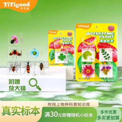 千千谷真实昆虫标本海洋动物魔方儿童创意礼物自然教育教学小玩具
