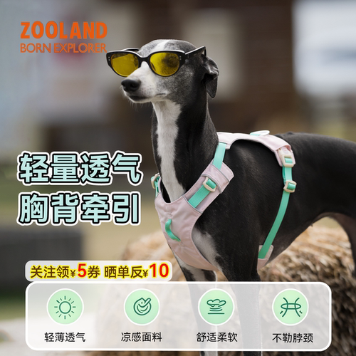 ZOOLAND狗狗胸背带牵引绳工字遛狗小中大型犬防爆冲挣脱宠物背心