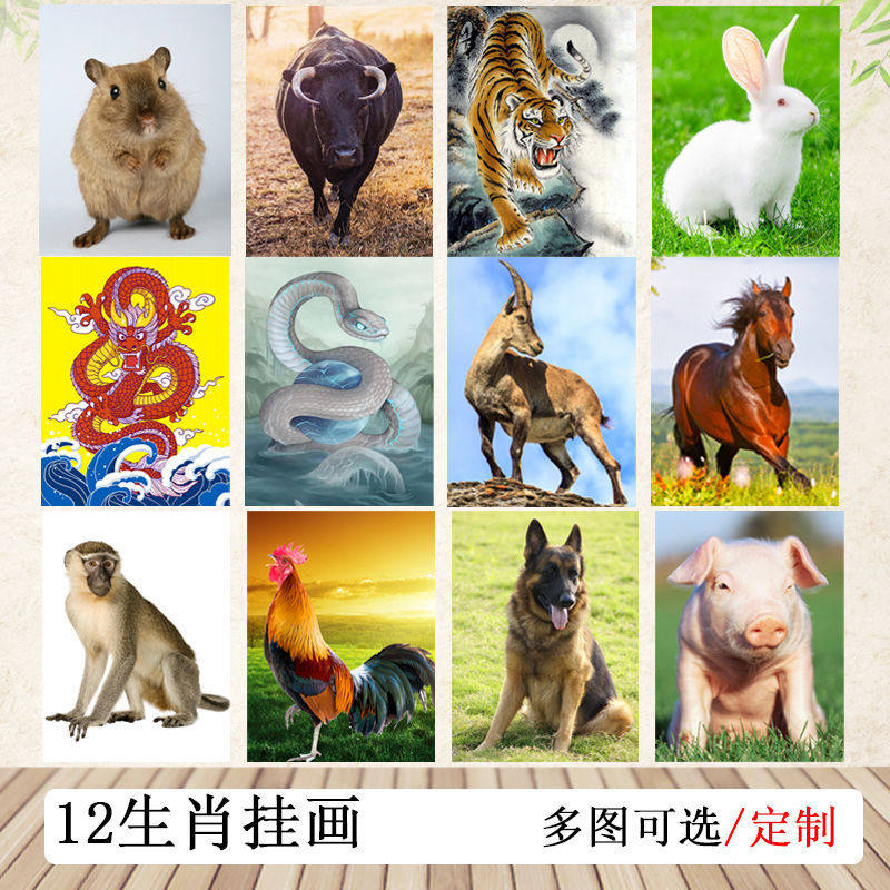 12生肖挂画十二生肖装饰挂图鼠牛虎兔龙蛇马羊猴鸡狗猪贴墙画海报