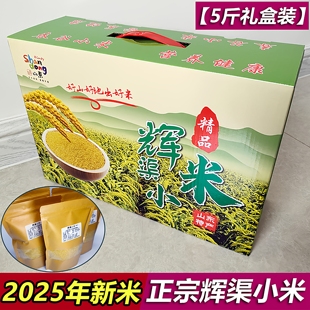 2025年正宗安丘辉渠小米礼盒装5斤山东特产农家食用新黄小米杂粮