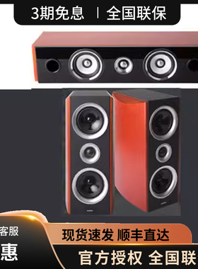 爱浪DT-C3中置S6环绕  家庭影院中置环绕音响木质音箱