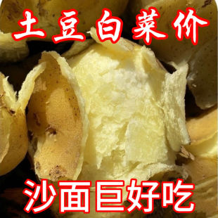 【土豆粉面】新鲜土豆黄皮黄心沙面粉糯爆皮新土豆现挖马铃薯洋芋