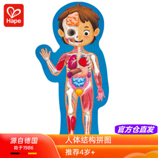 Hape人体结构拼图器官拼板幼儿童早教科学启蒙教具益智玩具4 6岁5