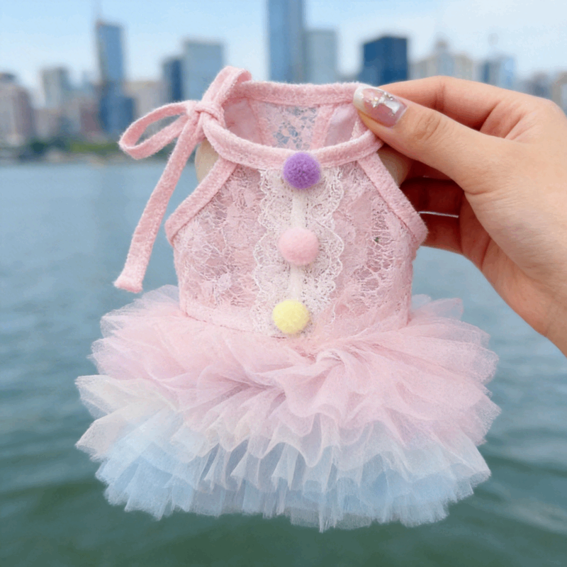 狗狗衣服春夏薄款蕾丝渐变裙摆芭蕾裙公主蓬蓬裙宠物泰迪比熊猫咪